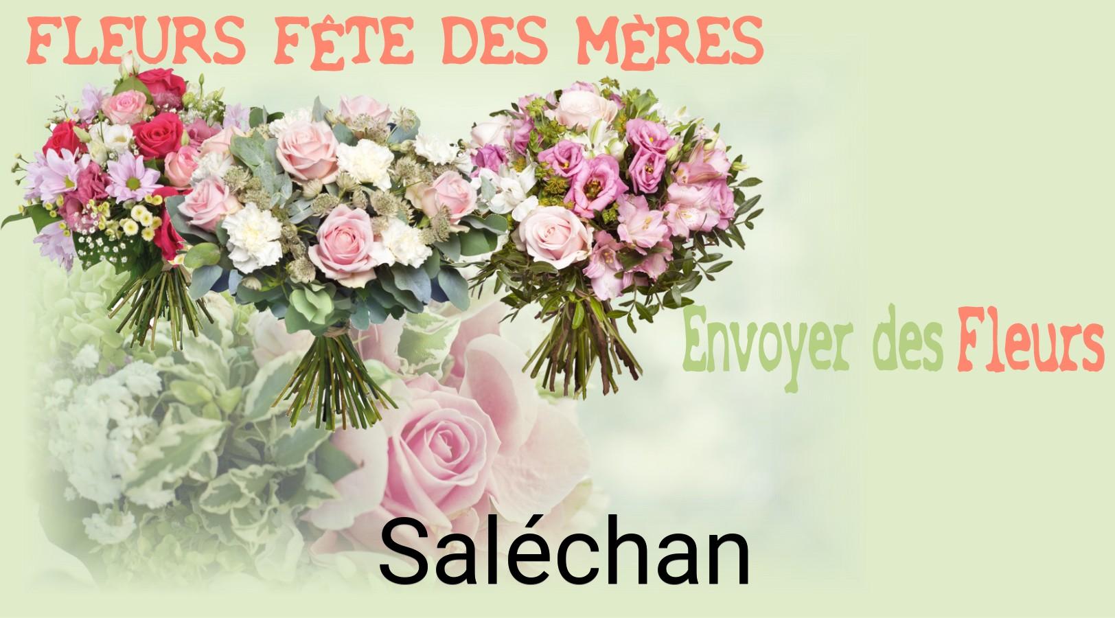 Bouquet de Fête des Mères livré à Saléchan